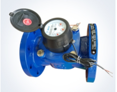 Đồng hồ đo nước mặt bích P-Max - Công Ty TNHH Thiết Bị Và Vật Tư Ngành Nước Hà Nội